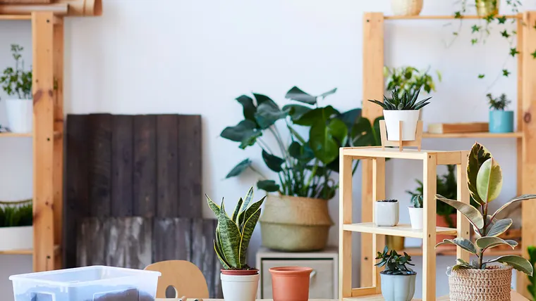 Acheter une première maison : tout savoir sur la mise de fonds